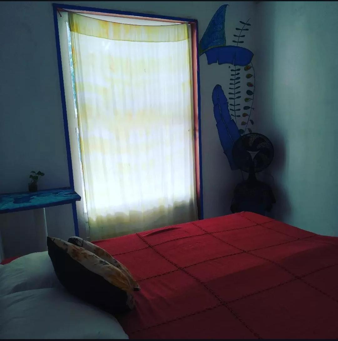 Casinha Blue Pipa Hostel Praia de Pipa Luaran gambar